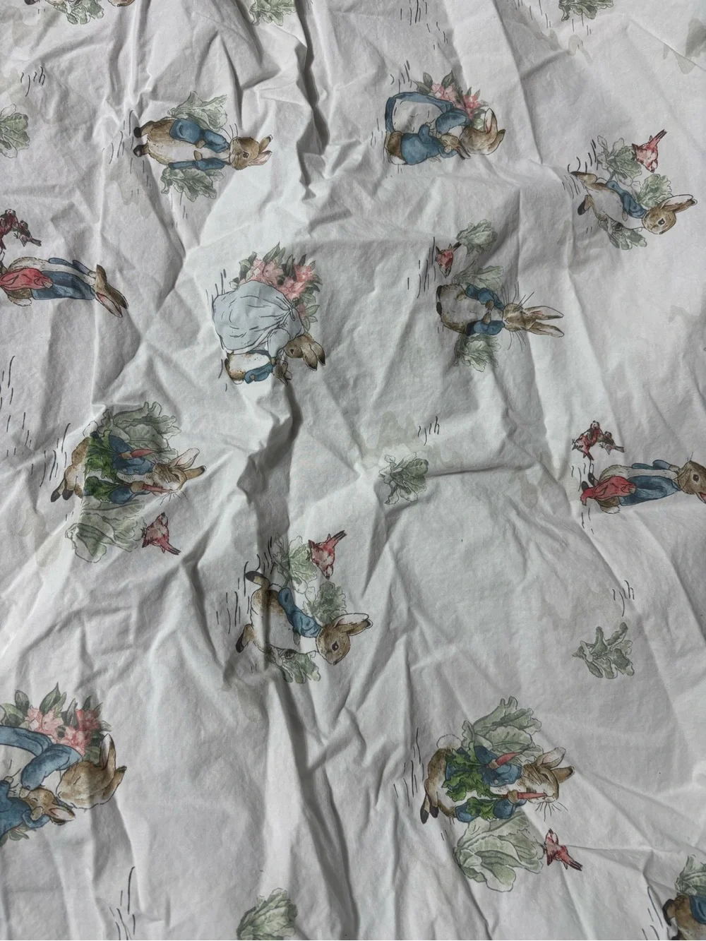 Pottery barn kids Peter rabbit organic cotton crib sheet elastic